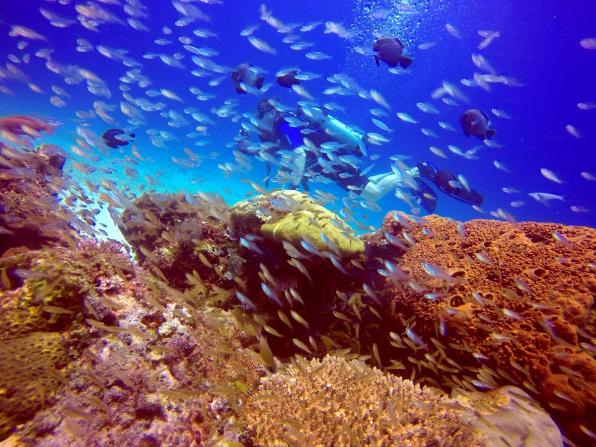 Anema Wellness&Resort Gili Lombok - Diving Center PADI Tanjung  Exterior foto