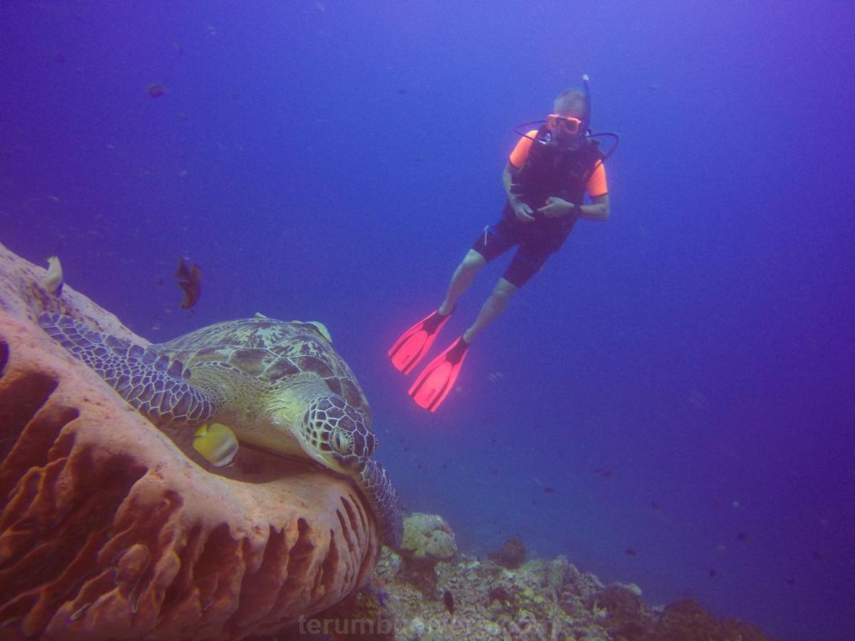 Anema Wellness&Resort Gili Lombok - Diving Center PADI Tanjung  Exterior foto